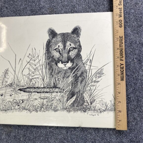 Karen Chappell Vintage Mountain Lion Ink & Pencil on Paper Drawing Signed 1978 - Picture 6 of 11